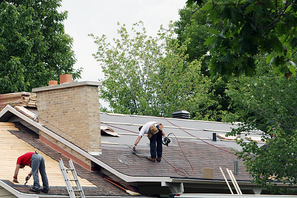 Best Storm Damage Roof Repair  in Hampton, VA